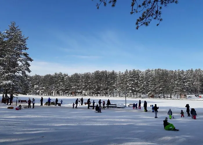 Апартаменты Vladovic *