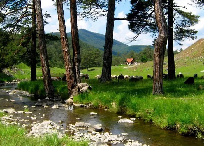 Vladovic Апартаменты